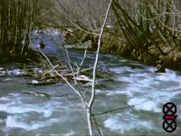 Contamines, hiver-été (Les)