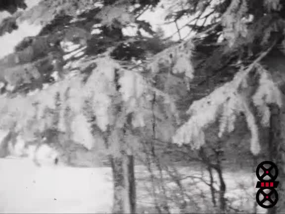 Ski 1930 - 1931